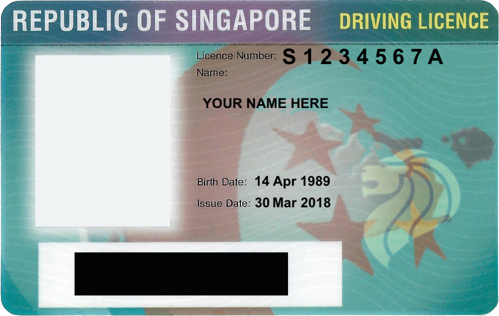 Singapore's Best Private Driving Lessons  Get Your 